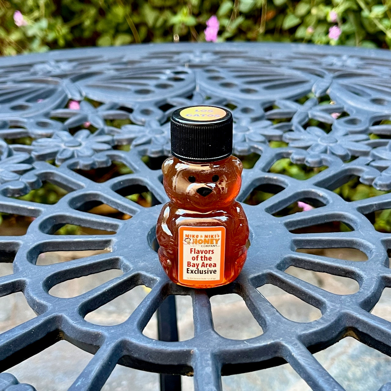 Los Gatos Wildflower Honey Bear